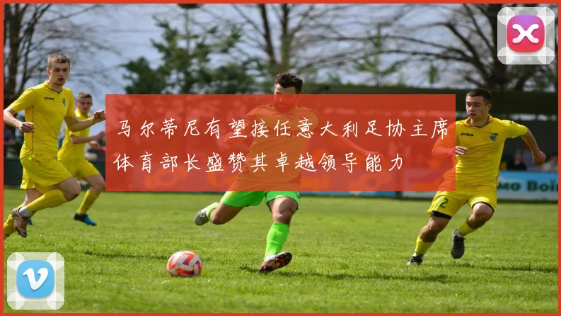 马尔蒂尼有望接任意大利足协主席体育部长盛赞其卓越领导能力