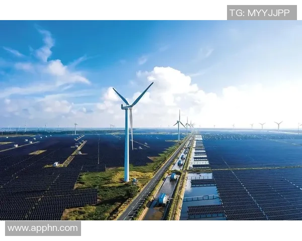 武汉羽毛球队的阵地战革新探索与实践:重塑竞技格局与团队协作新模式