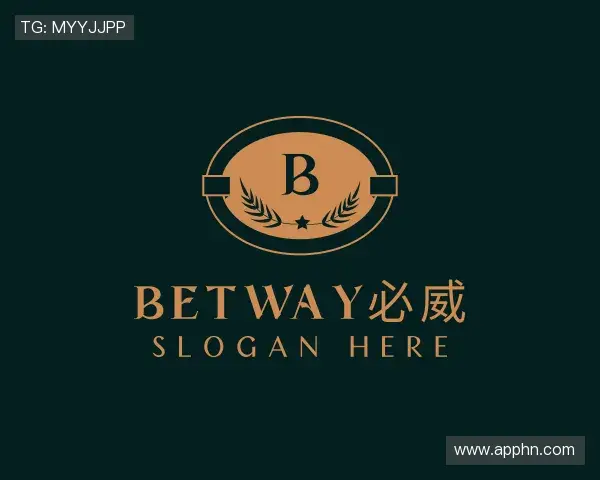 介绍betway西汉姆联